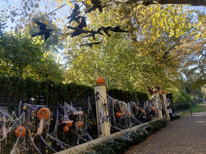 Willa na Jaśkowej Dolinie w Gdańsku znów straszy! Tegoroczny motyw Halloween budzi niepokój