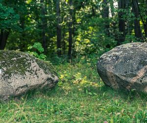 Białystok buduje Park Bioróżnorodności