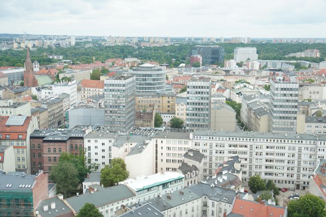 Otwarcie tarasu widokowego Collegium Altum