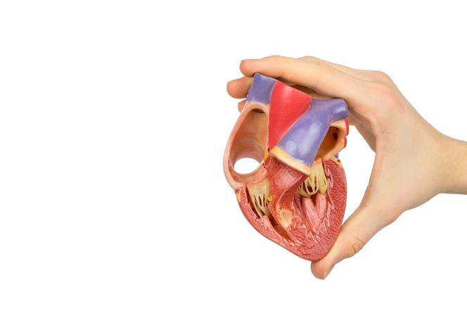 Kardiomiopatia rozstrzeniowa - przyczyny, objawy i leczenie