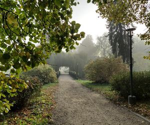 Zamojski Park jesienią