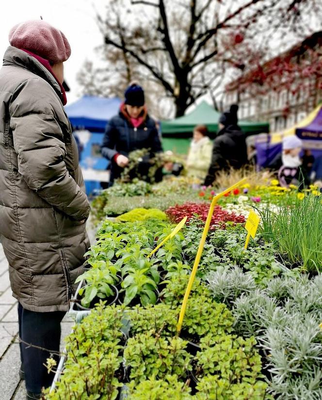  Przed nami targ na kaliskich plantach. Co będzie się działo?