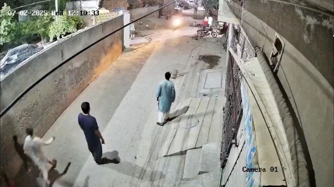 Lew rzucił się na dzieci i kobietę pośrodku ulicy! Oto, co stało się potem