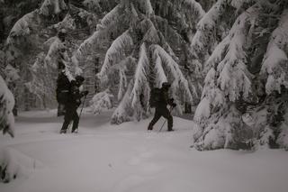 Jazda na nartach z rannym żołnierzem i wspinaczka. Terytorialsi  przeszli test w zimowych warunkach [ZDJĘCIA]