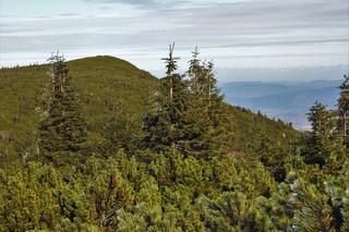 Budniki, czyli dawna wioska przemytników. Tutaj przez 113 dni nie dociera słońce 