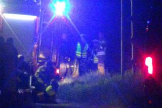 Siedział na torach w środku lasu. Zginął pod stalową bestią