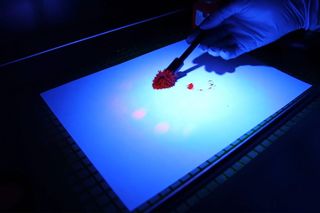 Popełnił przestępstwo i uszło mu płazem. Po trzech latach zgubiła go rękawiczka