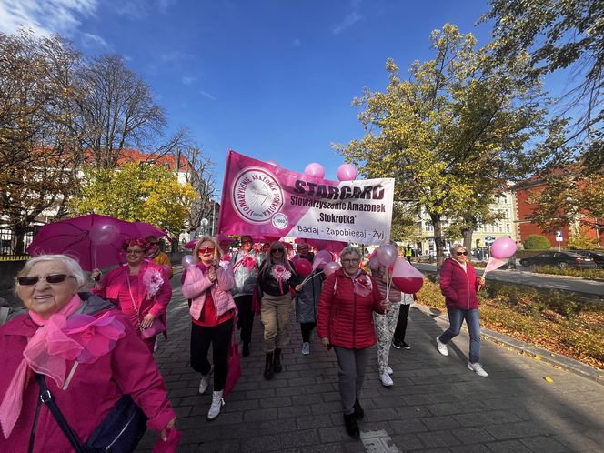 Marsz Różowej Wstążki w Szczecinie 2024