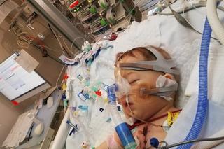 Natanek potrzebuje pomocy