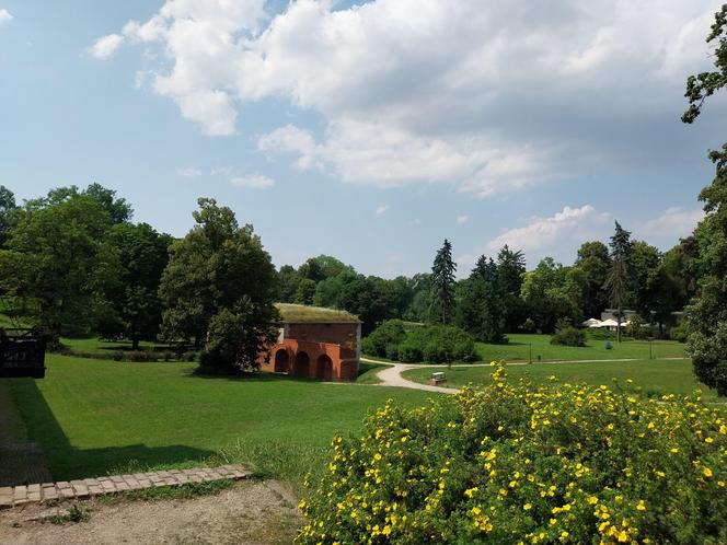 Lato w Parku miejskim w Zamościu 