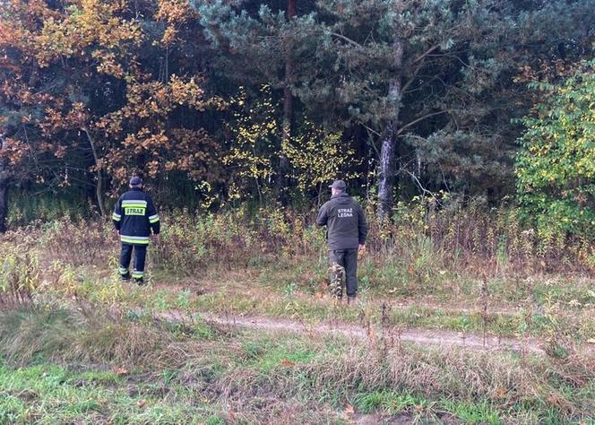 Policja szuka zaginionej Patrycji z Nalepkowic