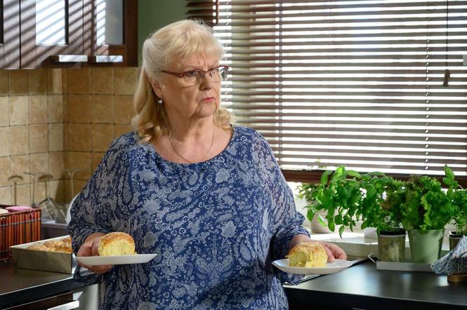 Barwy szczęścia, odcinek 2145: Bożena i Bruno zostaną rodzicami?! Amelia znajdzie im dziecko