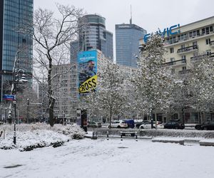 Śnieżny armagedon w Warszawie. Pierwszy atak zimy sparaliżował stolicę. Ogłoszono akcję ALFA