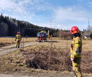 Stara Wieś. Tragedia podczas wycinki drzew. Konar przygniótł mężczyznę. Poszkodowany nie żyje