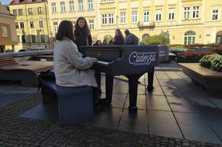 Fortepian dla Rzeszowa