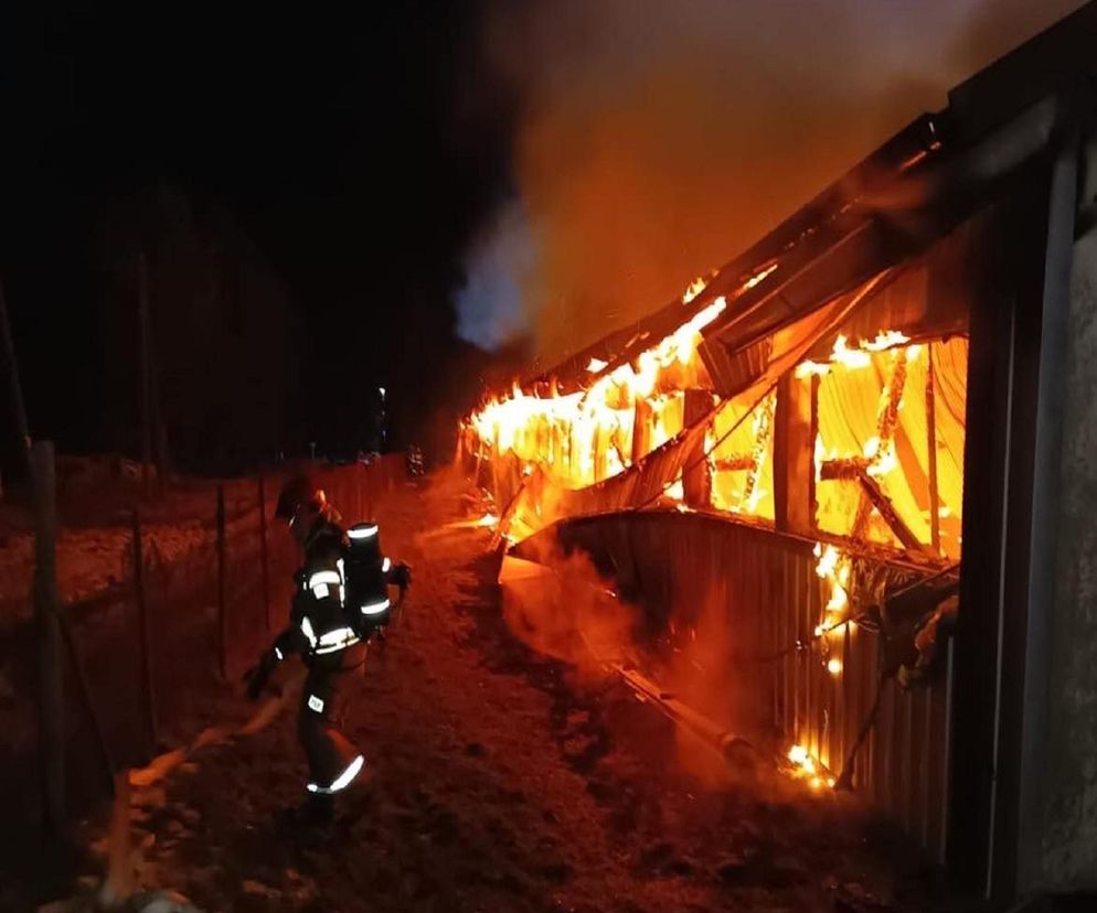 Płonął jak pochodnia. Kurnik w Gliniku doszczętnie zniszczony!