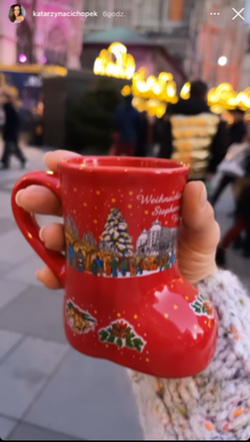 Katarzyna Cichopek w Wiedniu
