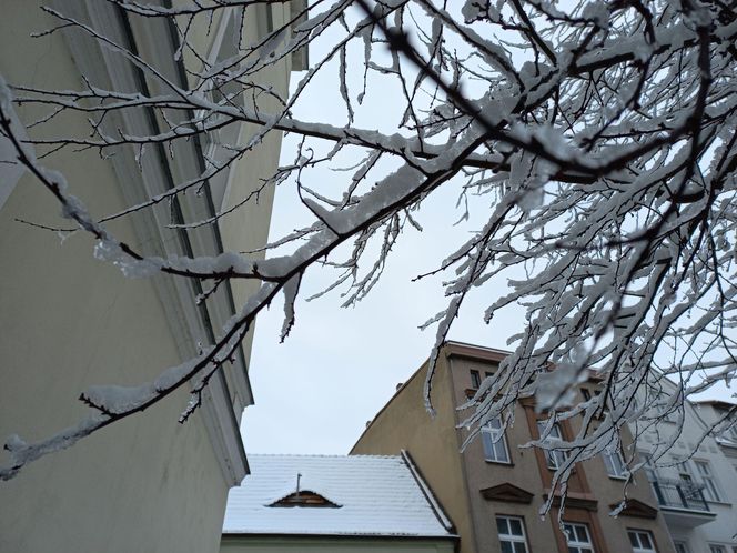 Leszno wygląda bajkowo! Na walentynki sypnęło śniegiem