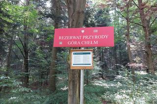 Góra Chełm w powiecie strzyżowskim na Podkarpaciu [GALERIA]