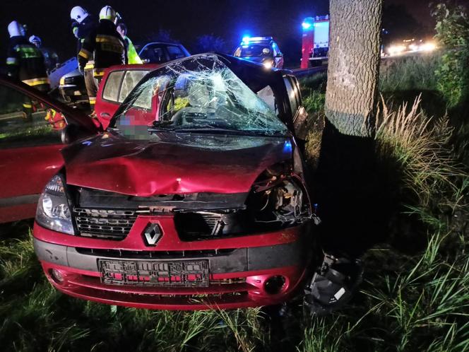 Utracił panowanie nad pojazdem i uderzył w drzewo