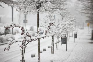 Atak zimy w Krakowie. Tak wyglądają drogi!
