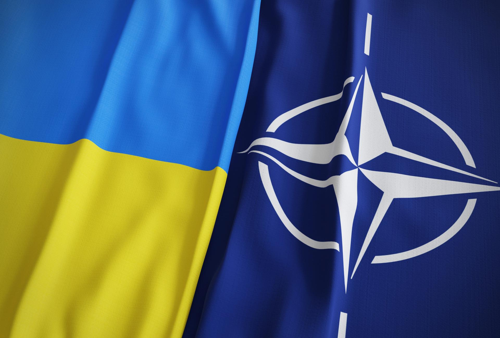 Нато послало украину. НАТО Отан. Флаг Украины и НАТО. Флаг НАТО. Флаг украинского НАТО.