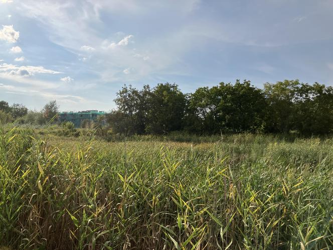 Siekierki i Augustówka