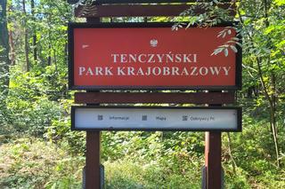 Prastara Puszcza Dulowska w Małopolsce. Spotkasz tam nawet łosie! 