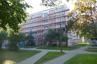 Sąsiedzi wspominają zamordowane kobiety z ulicy Łanowej. „Pani Marianna była zadowolona z opiekunki”