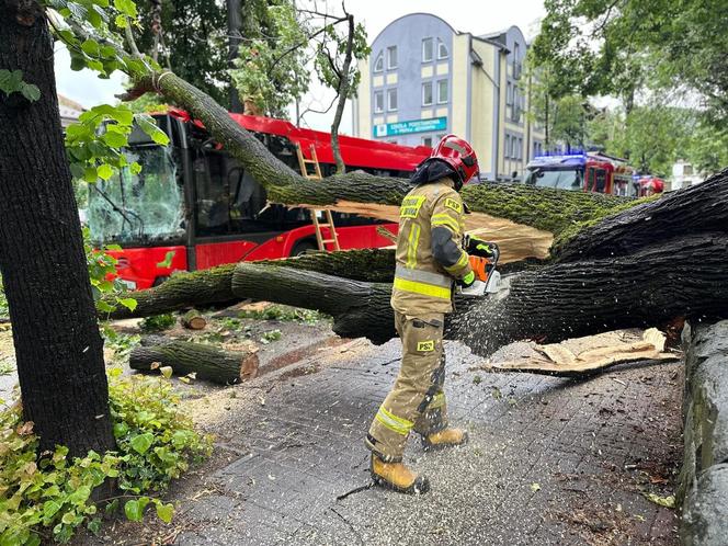 Drzewo przewróciło się na miejski autobus. Są osoby poszkodowane