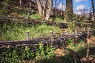Park Żerański w Warszawie