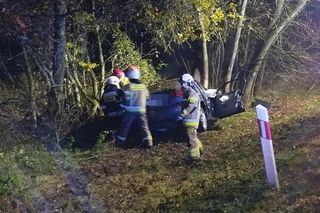 Śmiertelny wypadek pod Bełchatowem. 29-latka uderzyła audi w drzewo [ZDJĘCIA]
