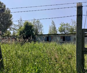 Kobieta zastrzelona na parkingu przy szkole. Znaleziono też ciało jej męża