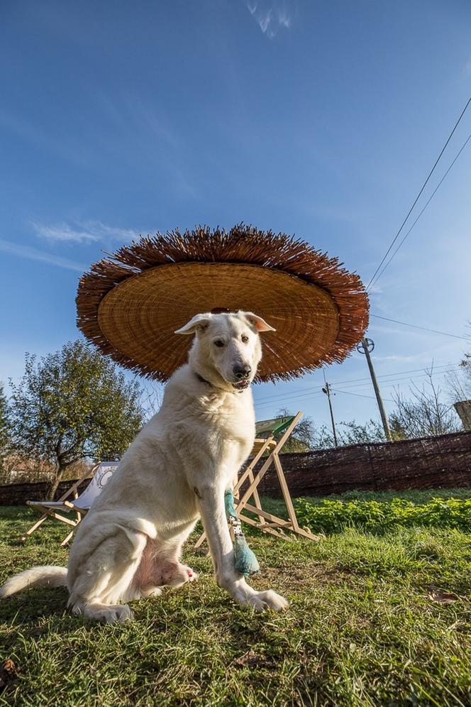 Dostał łapę z drukarki 3d