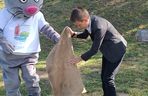 Teraz nie tylko Bydgoszcz ma swoje myszki. Pierwsza figurka uśmiechniętego gryzonia stanęła w Kruszwicy, pod Mysią Wieżą