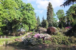 To raj dla miłośników przyrody! Kiedy otwarcie Arboretum pod Wrocławiem?