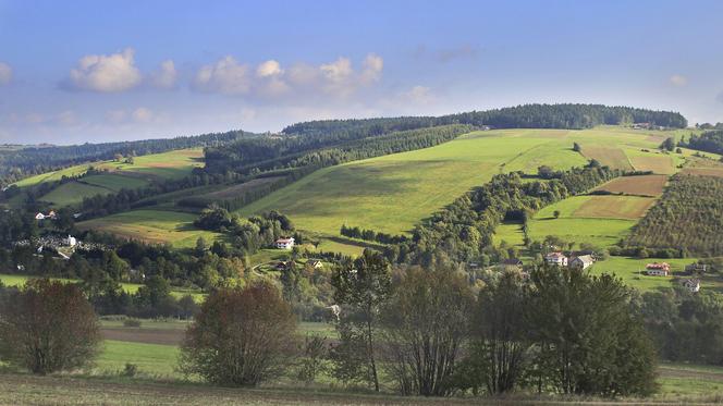 1. Lipnica Wielka