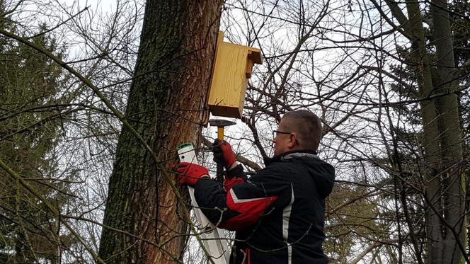  Budki lęgowe zawisły w bydgoskim Ogrodzie Botanicznym UKW w Bydgoszczy