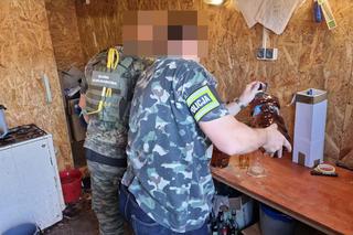 Nielegalna rozlewnia alkoholu zlikwidowana w Koszalinie 