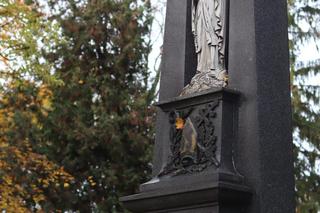 Na tych grobach zawsze jest znicz. Na cmentarzy przy ul. Lipowej leżą sławni Polacy [galeria]