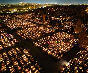 1 listopada na Cmentarzu Łostowickim w Gdańsku. Tak wygląda w dniu Wszystkich Świętych