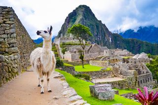 Machu Picchu