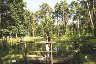 Piękne Lasy Janowskie. Jaka ważna bitwa rozegrała się niedaleko? Co zwiedzić? Atrakcje w okolicy według Wędrownych Motyli