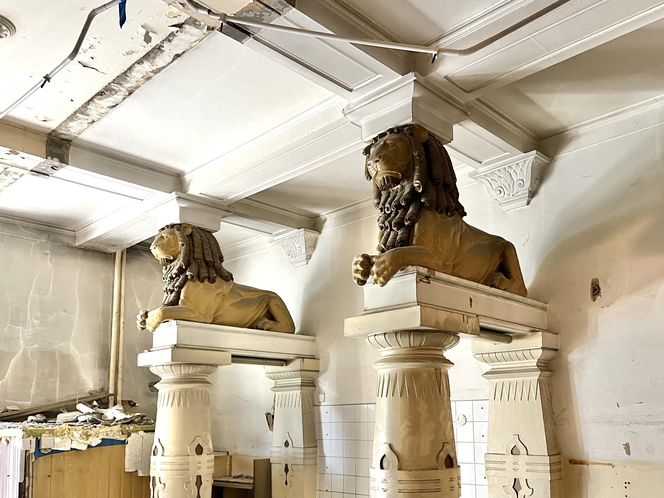 Kamienica przy Matejki 55 w Poznaniu