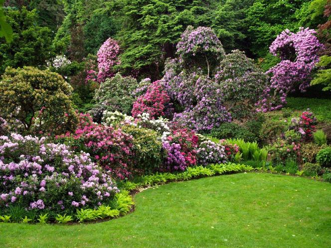 To raj dla miłośników przyrody! Kiedy otwarcie Arboretum pod Wrocławiem?