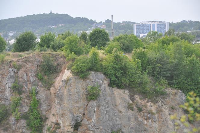 Park linowy Tyrolka na Kadzielni w Kielcach zaprasza