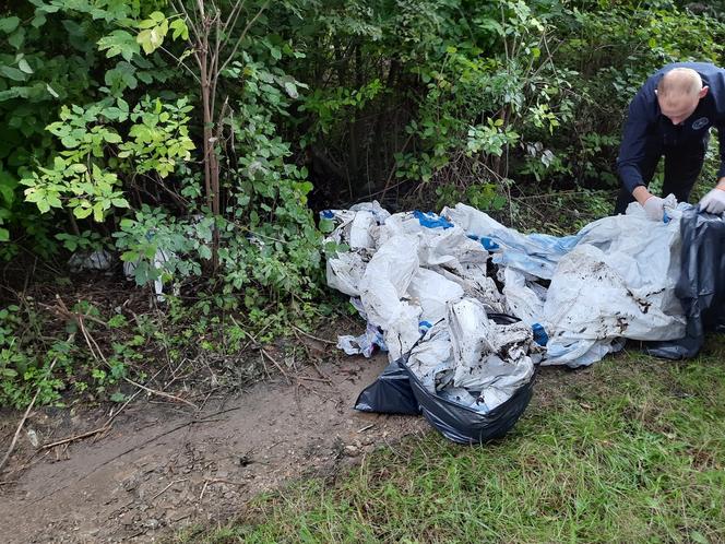 Więźniowie pomagali sprzątać Przemyśl. Zebrano 5 ton śmieci! [ZDJĘCIA]