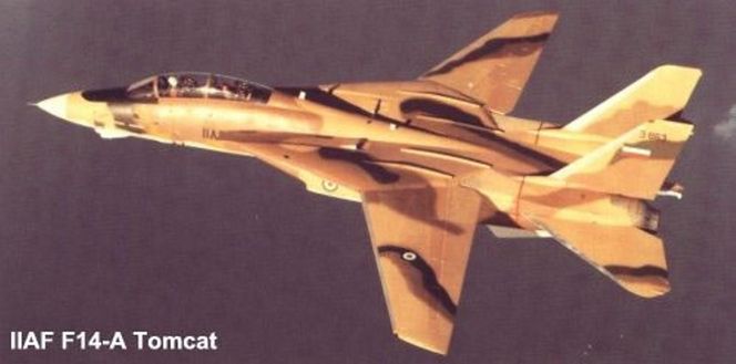 F-14 Tomcat