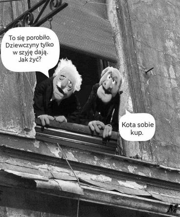 „Kobiety dają w szyję” – memy po słowach Jarosława Kaczyńskiego