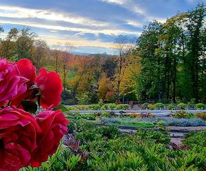 Arboretum Wojsławice prezentuje pełną paletę barw